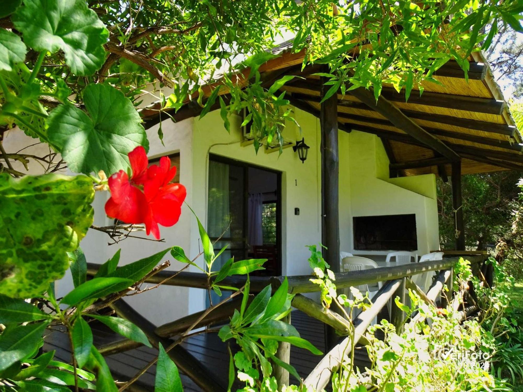 Bungalows Punta Colorada Piriápolis Exterior foto